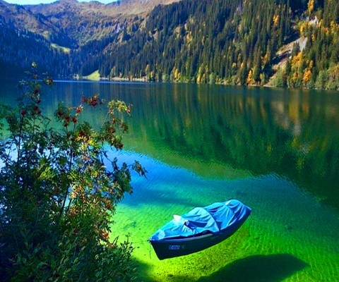 Зеленое озеро из Батуми